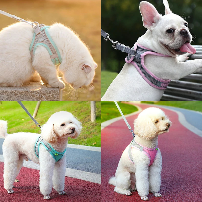 Adjustable Harness Vest Outdoor Walking Lead Leash