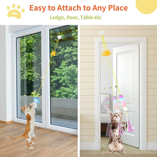 Cat Toys Swing Sticky Disc Elastic