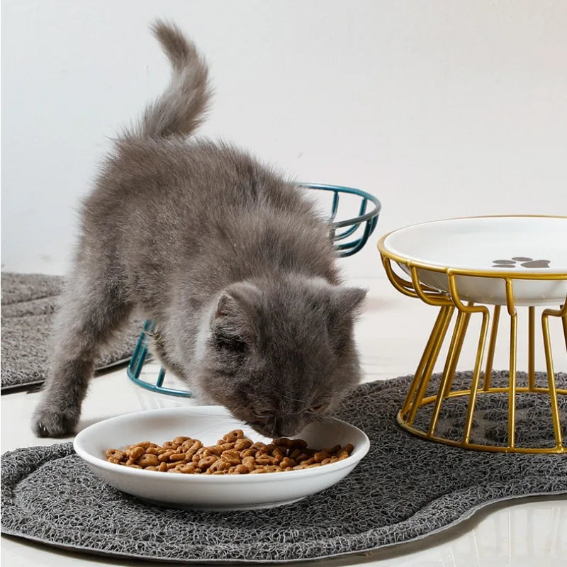 Bowl Metal Stand Pet Feeder Dish