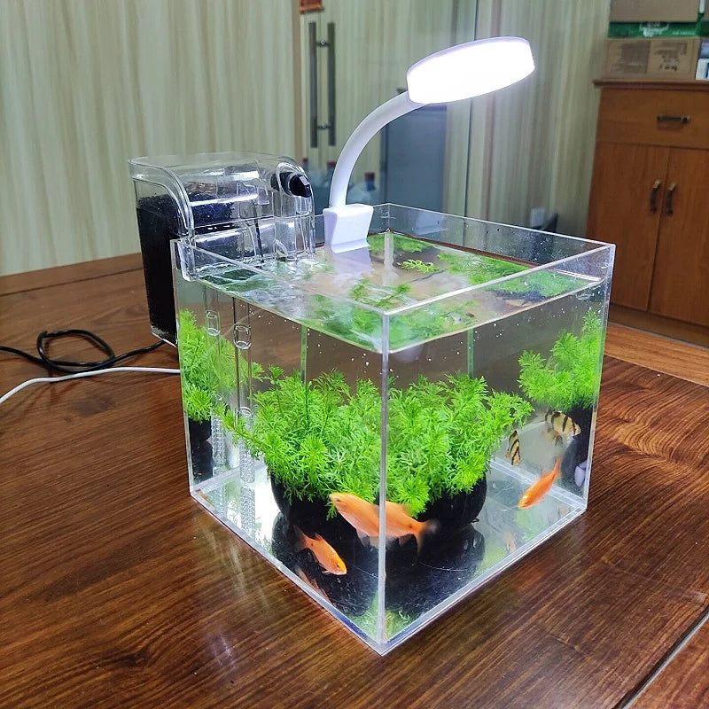 transparent acrylic tank with filter system and lamp