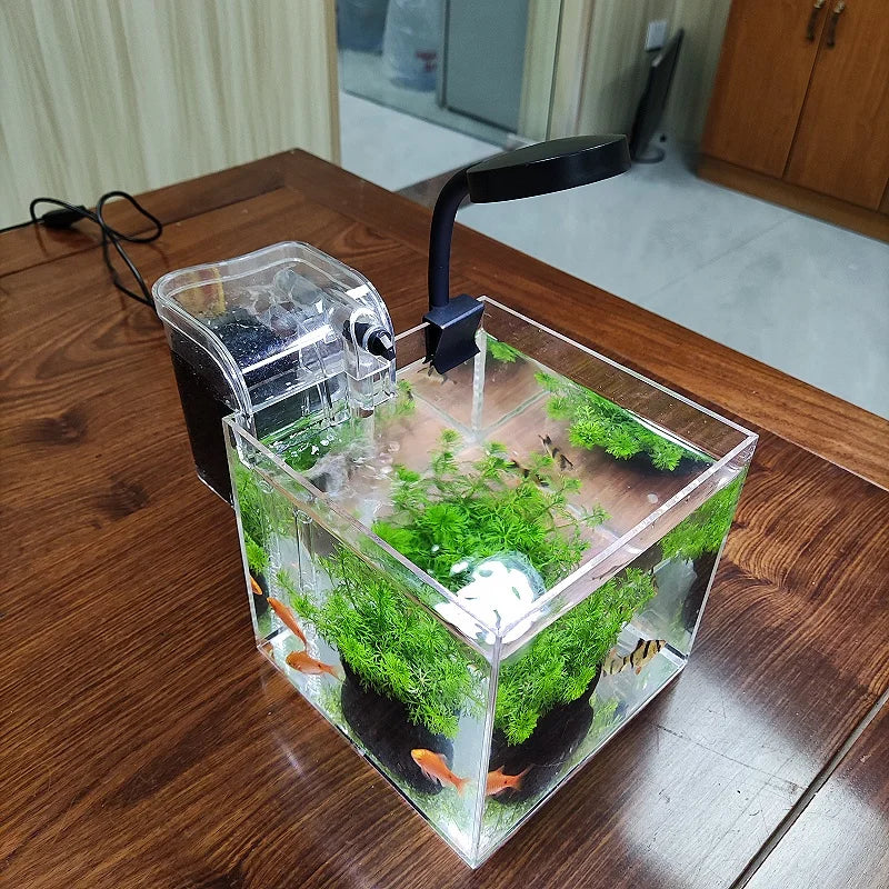 transparent acrylic tank with filter system and lamp