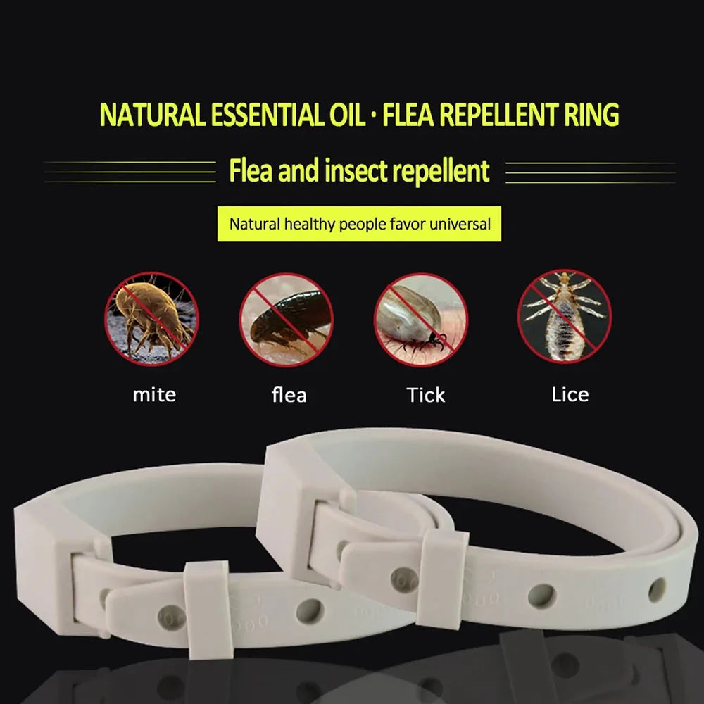 Anti Flea Tick Collar For Cat Small Dog Antiparasitic 8Month Protection Adjustable Puppy Kitten Collar Breakaway Pet Accessories