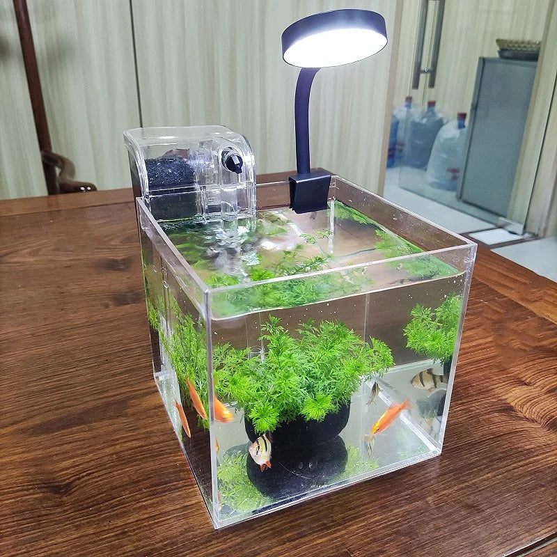 transparent acrylic tank with filter system and lamp